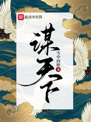 大明权谋天下