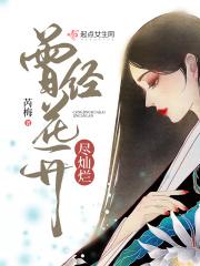 不过浮华一梦。什么意思