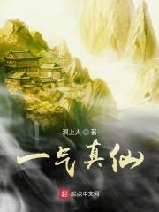 一气真仙起点