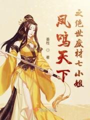 凤鸣九天 废材风华惊天下
