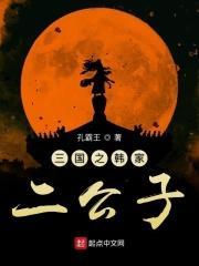 三国之韩家二公子笔趣阁