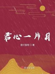 一片冰心在玉壶