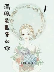 满眼星辰皆是你什么歌