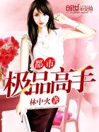 都市极品高手女主角