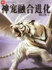 神宠融合进化 耶比大熊