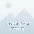 豪门贵妇翻车后
