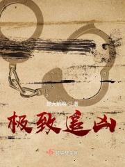 x档案第268期