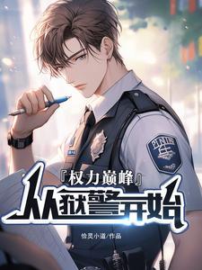 权力巅峰书籍