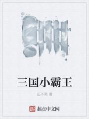 三国小霸王好看吗
