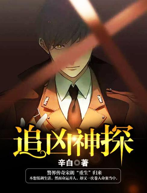 追凶神探陈安和