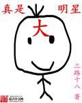 我真是大明星剧