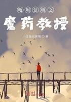 哈利波特之魔药教授笔趣阁