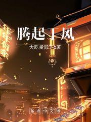 腾蛟起凤风云会
