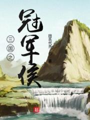 穿越三国之冠军侯
