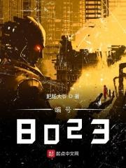 编号80663手缝扣