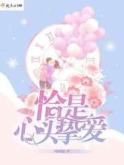 恰是心头挚爱什么意思